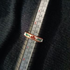 Elegant Multicolor Cloisonne Ring